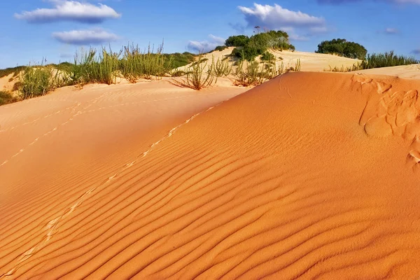 Sandstranden vågor. — Stockfoto