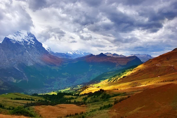 Pradera alpina de otoño — Foto de Stock