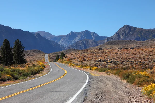 Estrada americana através do deserto — Fotografia de Stock