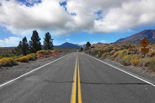 Estrada americana através do deserto cênico — Fotografia de Stock