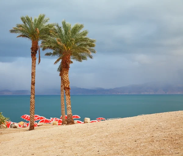 Зима на Мертвому морі — стокове фото