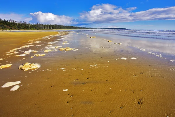 Морская пена на песке — стоковое фото