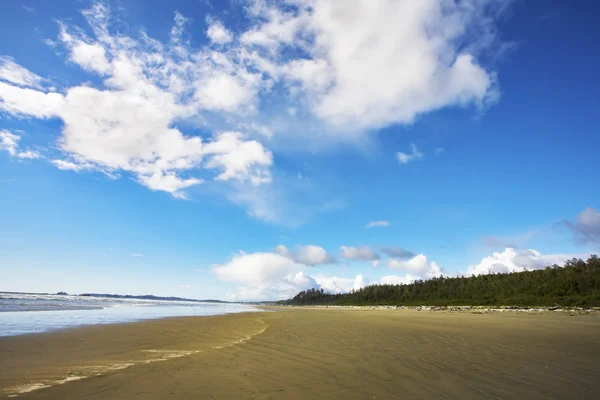 Obrovská písečná pláž na ostrově v poledne — Stock fotografie