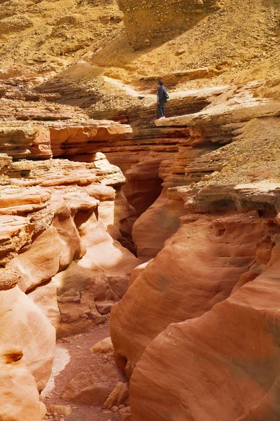 Жінка - туристка в кам'яній пустелі — стокове фото