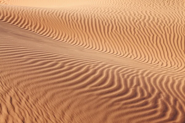 모래 파도의 복잡 한 곡선 — 스톡 사진