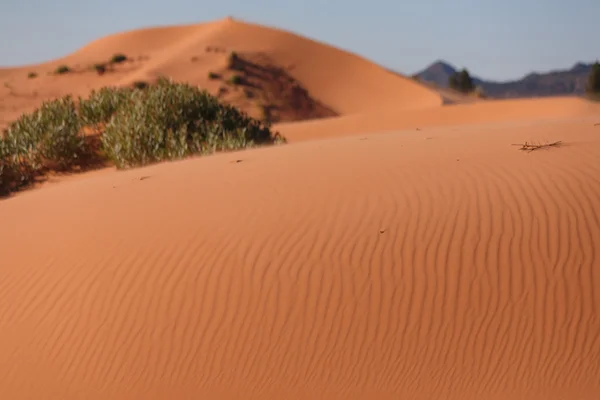 Оранжевый блеск песка — стоковое фото