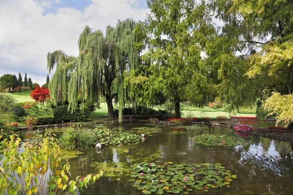 Mělký rybník, stromy a květiny — Stock fotografie