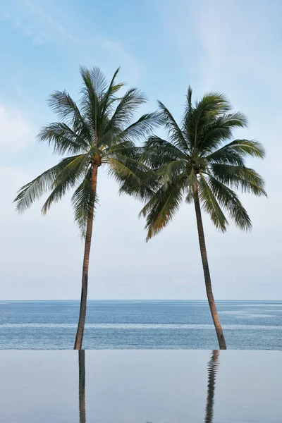 Two palm trees are reflected in a water — Stock Photo, Image