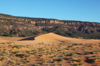 zarif Turuncu dune