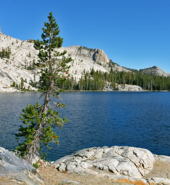 Bright blue May lake