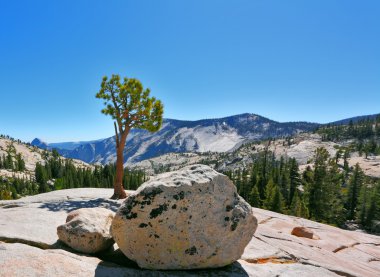 Park Yellowstone, pass Tioga