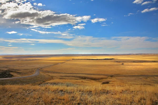 De Amerikaanse prairie — Stockfoto
