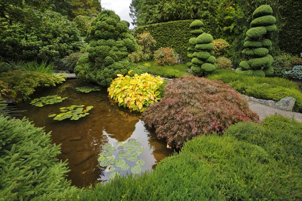 Ozdobny ogród japoński. — Zdjęcie stockowe