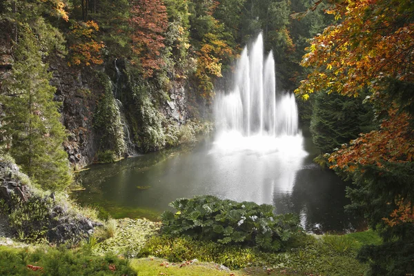 Magnificent fountain in well-known Butchard-garden — Stock Photo, Image