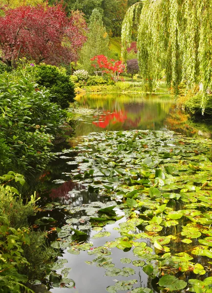 Stiller Teich im Park auf der Insel Vancouver — Stockfoto