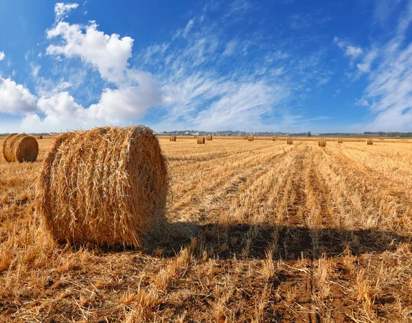 Stapels van het gras op een zonsondergang — Stockfoto