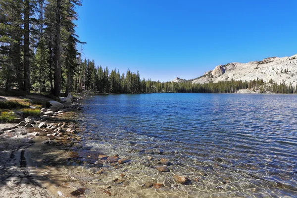 Maja wysoki górskie jezioro w parku yosemite — Zdjęcie stockowe