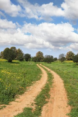 Mart ayında öğle vakti, kırsal toprak yol bulut