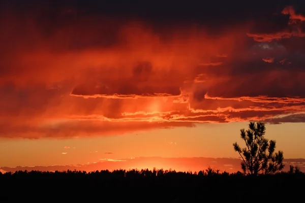グランドキャニオンの日没 — ストック写真