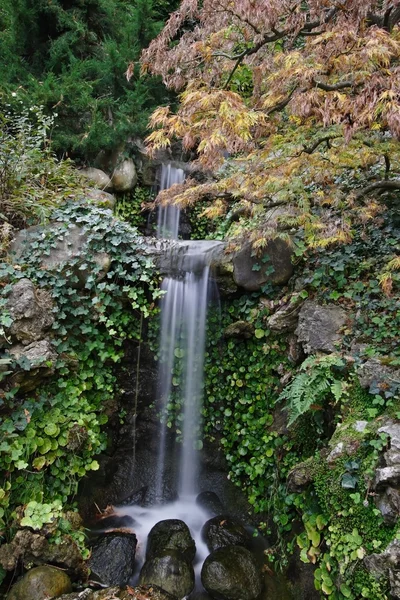 Una piccola cascata nello stagno — Foto Stock