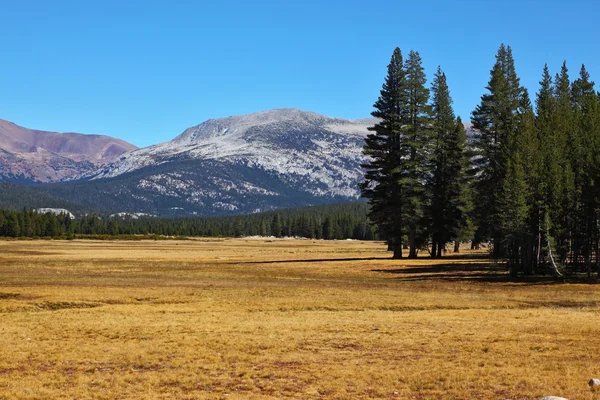 Der malerische Teil des Yosemite-Parks — Stockfoto