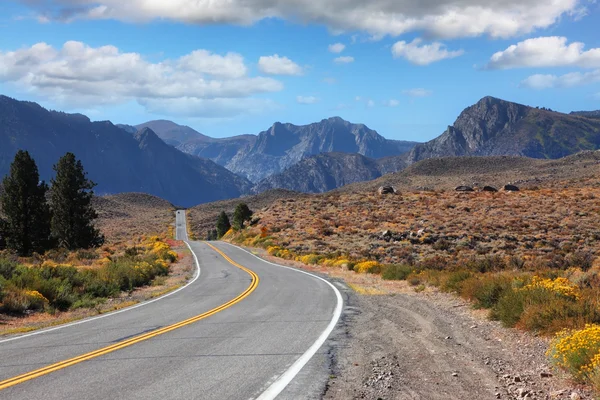 A estrada atravessou o belo deserto — Fotografia de Stock