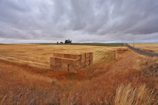 Bulutlu gökyüzü ve buğday büyük yığınlar — Stok fotoğraf