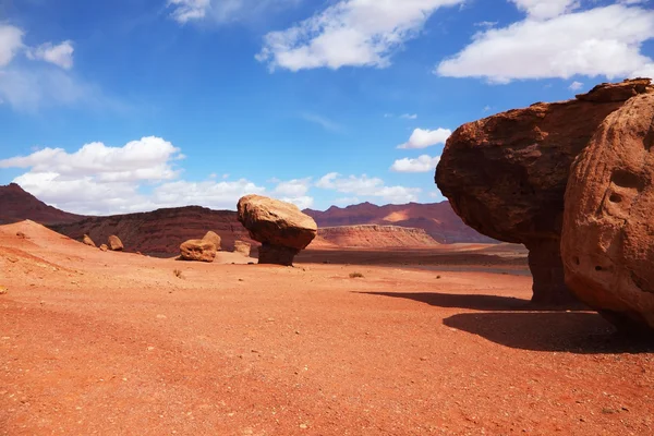 Reus steen in de rode woestijn — Stockfoto
