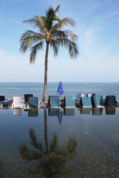 Le palmier et les fauteuils se reflètent dans l'eau — Photo