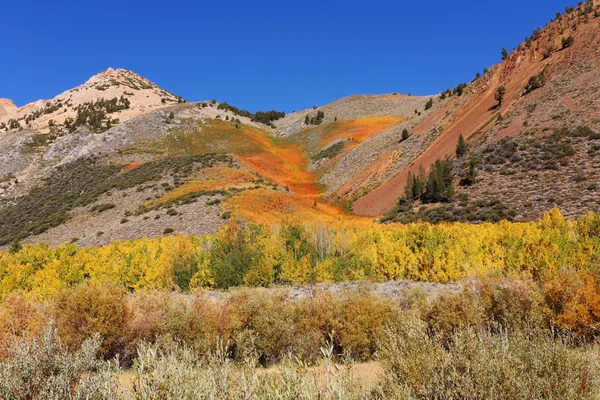 カリフォルニア州。山の斜面 — ストック写真