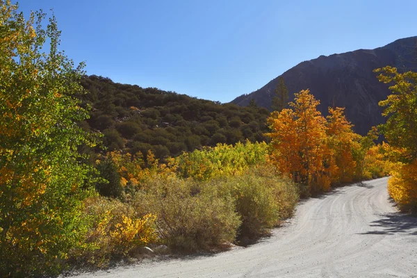秋季颜色的泥路 — 图库照片