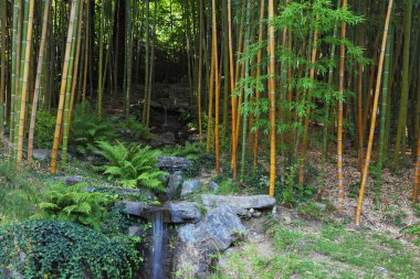 Bambu Grove falls