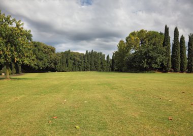 Huge yellowed field around Verona clipart