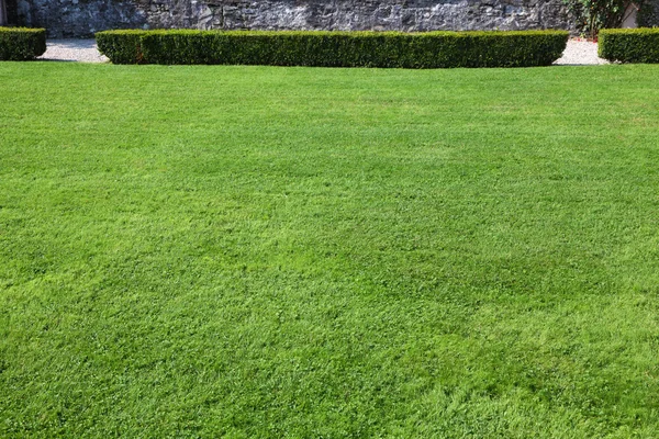 Magnífico gramado — Fotografia de Stock
