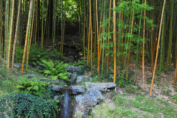 Die Wasserfälle in einem Bambushain — Stockfoto