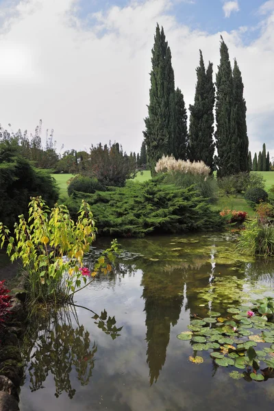 El estanque, el ciprés y el lirio —  Fotos de Stock