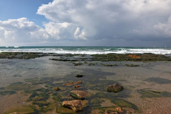 Pedras cobertas com algas numa onda de maré — Fotografia de Stock