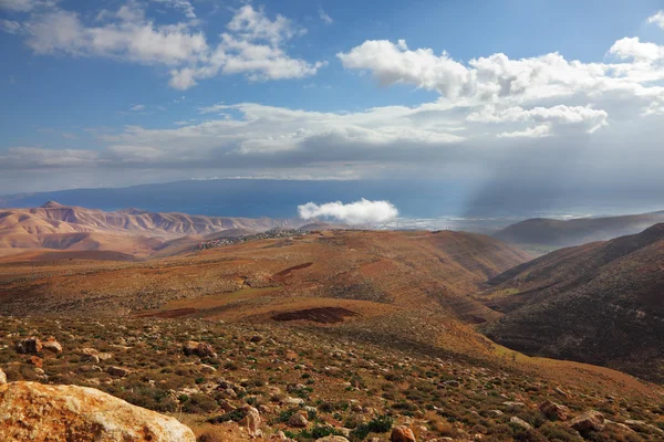 Stock image Judean Desert in the January morning