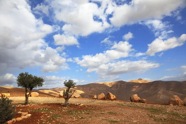 Góry Samarii — Zdjęcie stockowe