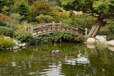 A small pond and a decorative wooden bridge clipart