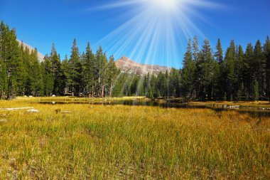 yosemite Parkı erken sakin bir bölümünde düşmek