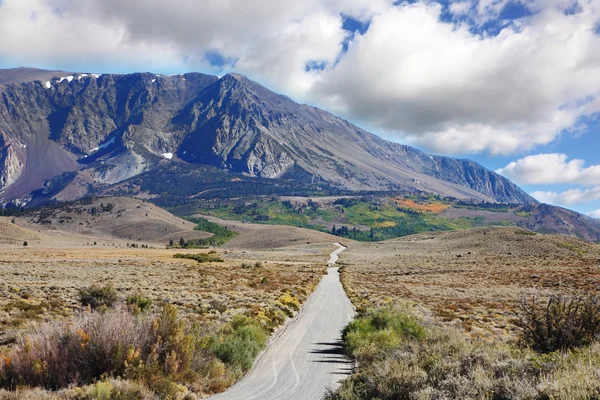 De weg in de schilderachtige steppe — Stockfoto
