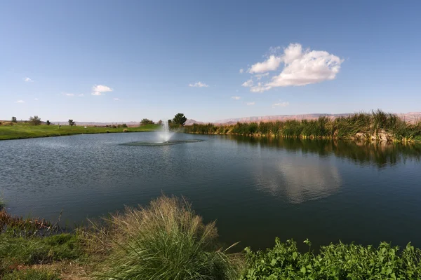 Ruhiger Teich mit Springbrunnen — Stockfoto