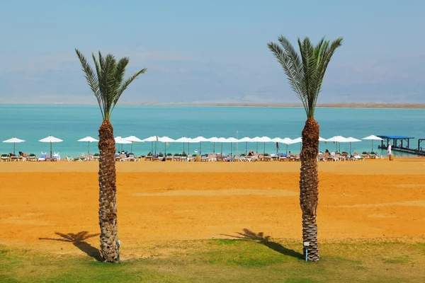 Lékařské beach luxusní hotel u mrtvého moře — Stock fotografie