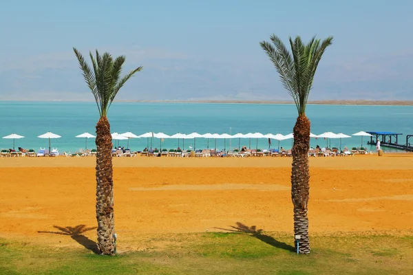 Tıbbi beach lüks otelde ölü deniz — Stok fotoğraf