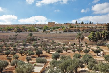 The protective wall of Jerusalem and the walled 