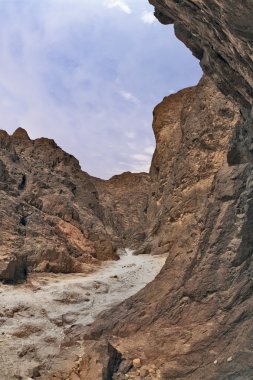 vahşi doğada turist Manzaralı yoldan