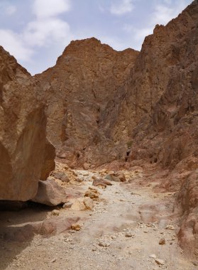 turist yürümek çöl yolu üzerinde