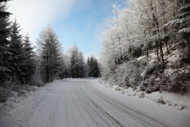 Tahta yol