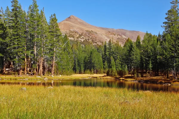 yosemite sonbahar manzara